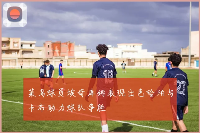 菜鸟球员埃奇库姆表现出色哈珀与卡布助力球队争胜