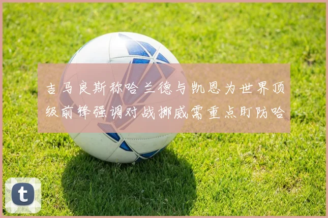 吉马良斯称哈兰德与凯恩为世界顶级前锋强调对战挪威需重点盯防哈兰德