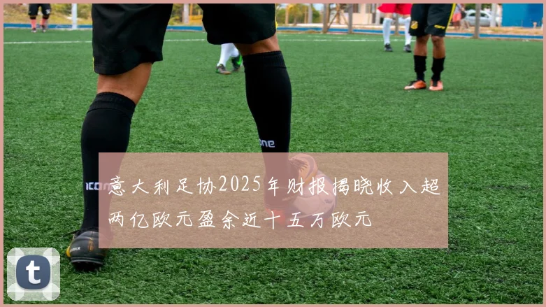 意大利足协2025年财报揭晓收入超两亿欧元盈余近十五万欧元